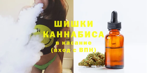 сатива Протвино
