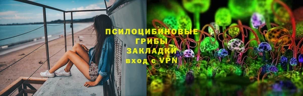 сатива Протвино