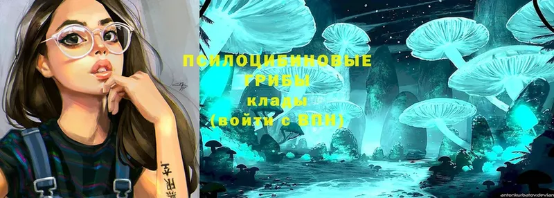 Галлюциногенные грибы Magic Shrooms  Ряжск 